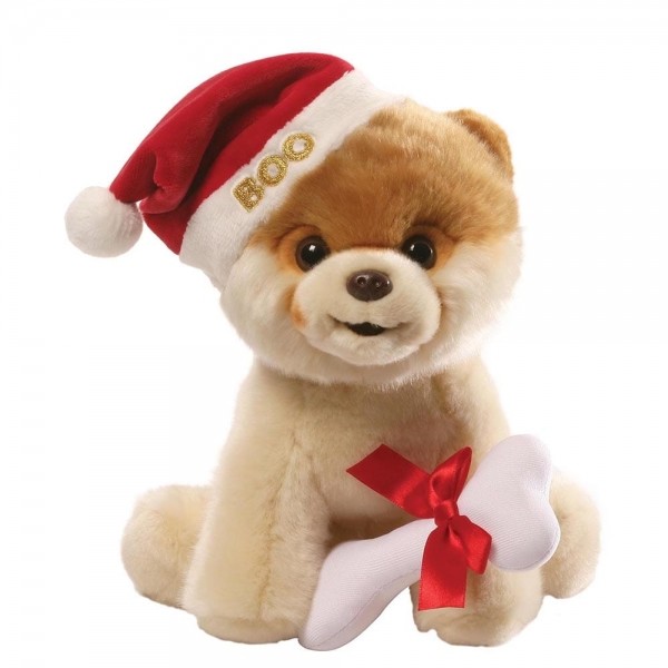 boo teddy bear dog